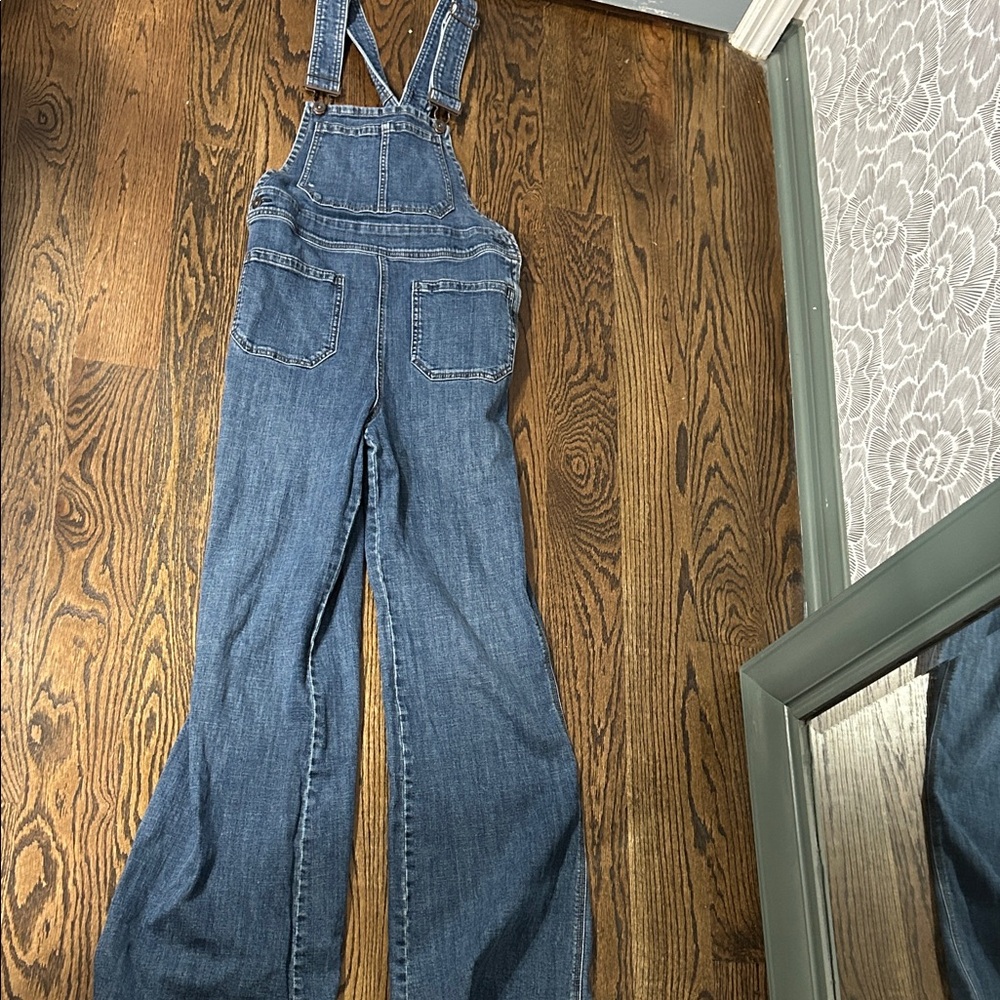 Free People Denim Overalls (Size 30)